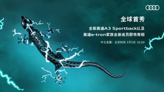 2020奥迪重磅全新车型首发